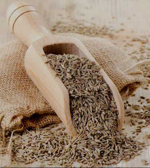 خرید زیره سیاه کوهی وحشی