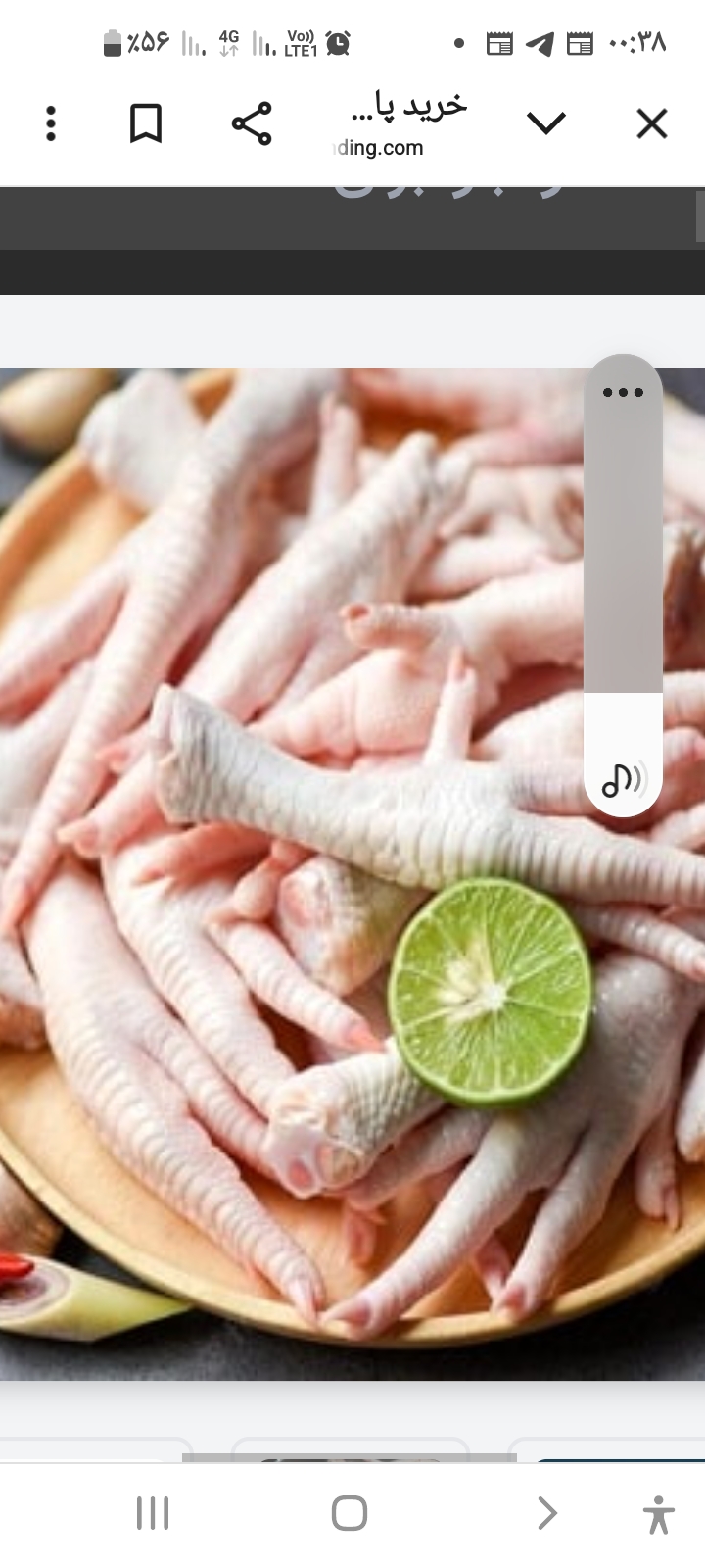 پای مرغ درجه ۱