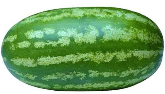 هندوانه گردوبیضی درجه ۱