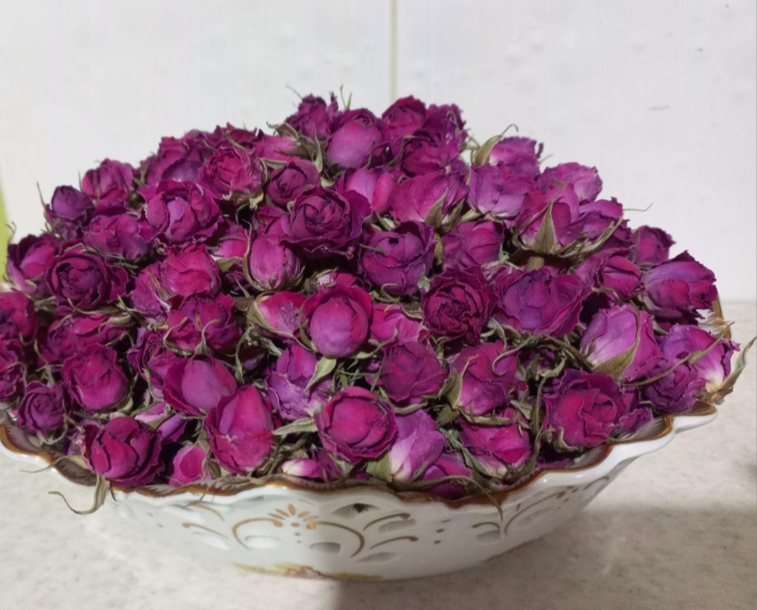 خرید و فروش گل محمدی