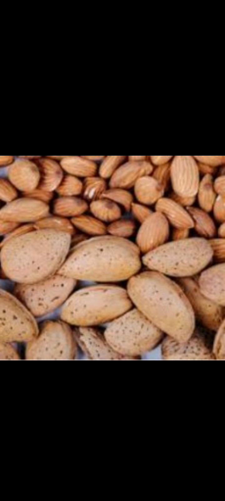 قیمت خرید بادام سنگی عمده مناسب