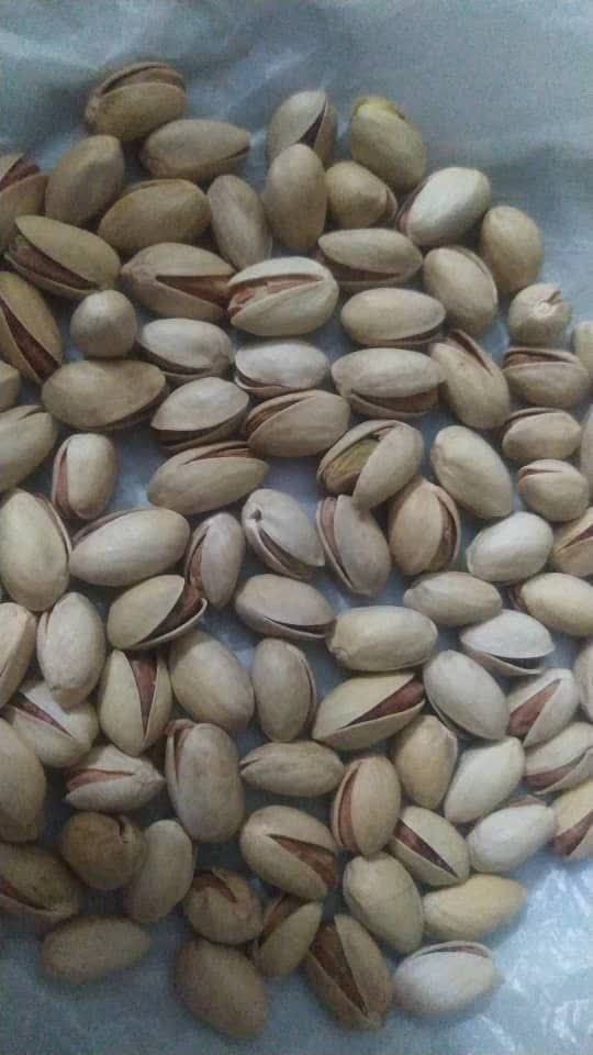 پسته عزیز + خرید