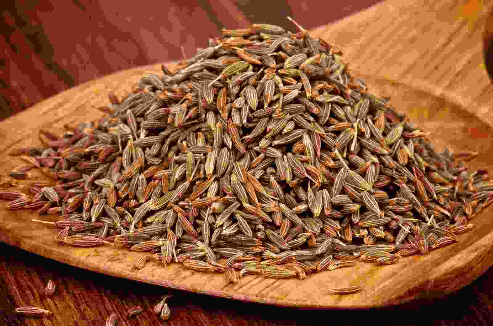 تولید کننده زیره در ایران