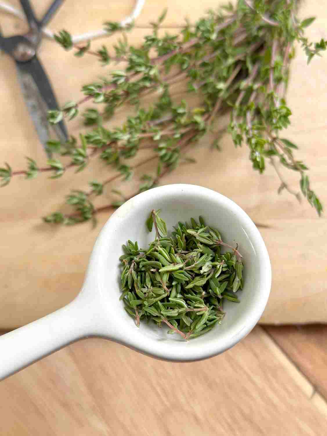 راهنمای خرید عمده آویشن صادراتی