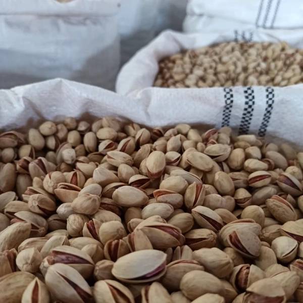 قیمت خرید پسته احمد آقایی عمده + فروش ویژه