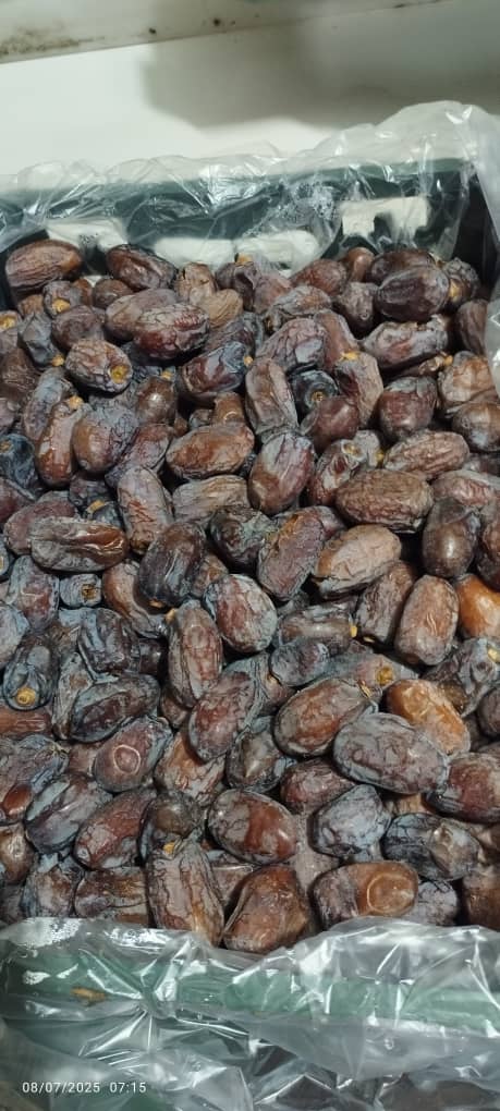 خرما کلوته روغن زده صادراتی ایران + قیمت ارزان