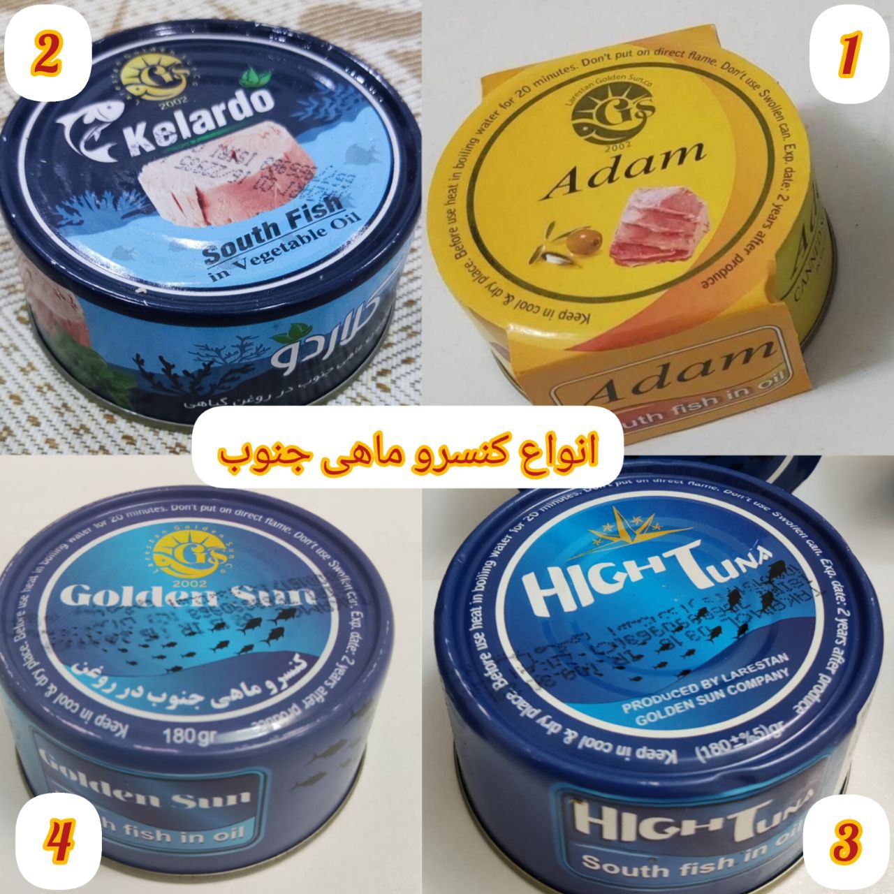 فروش انواع کنسرو ماهی صادراتی