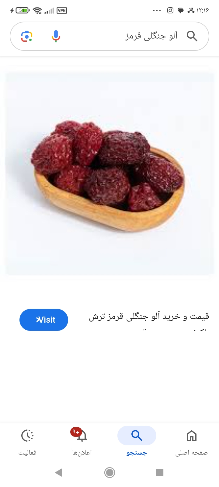 قیمت فروش و خواص شگفت انگیز آلوی جنگلی خشک برای سلامت بدن