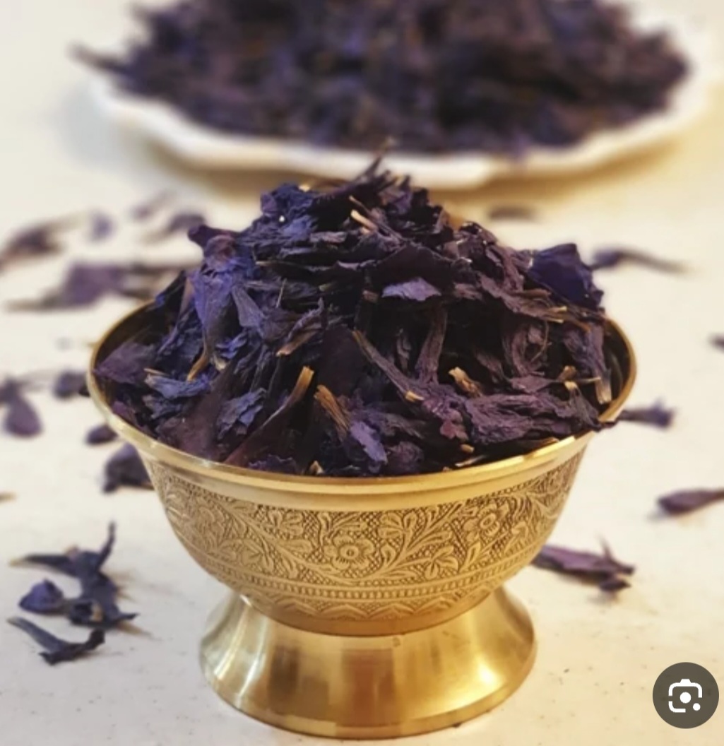 خرید گل گاوزبان اعلا شمال
