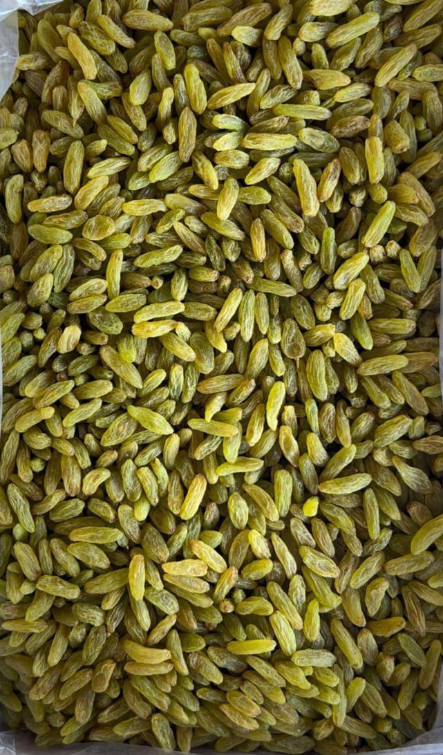 کشمش سبز قلمی