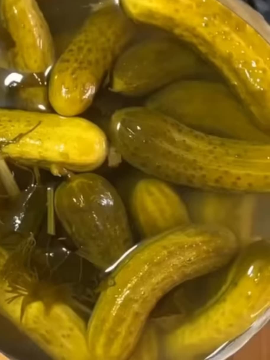 قیمت خرید خیارشور حلب سوپر ویژه عمده به صرفه و ارزان