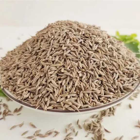 فروش زیره ارگانیک سیاه، مناسب عطاری و دمنوش‌سازی