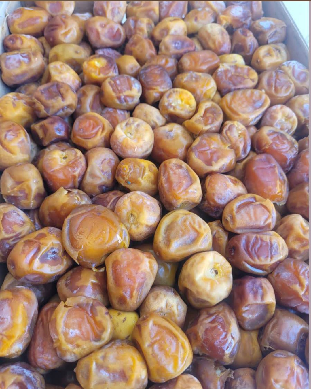 خرمای مرغوب خوزستان