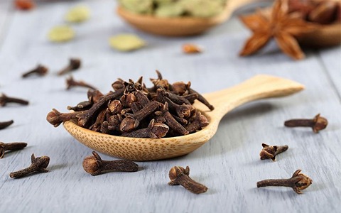 خرید گیاه دارویی میخک + قیمت باور نکردنی