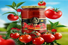 خرید رب گوجه عمده لوکس استار 800 گرمی