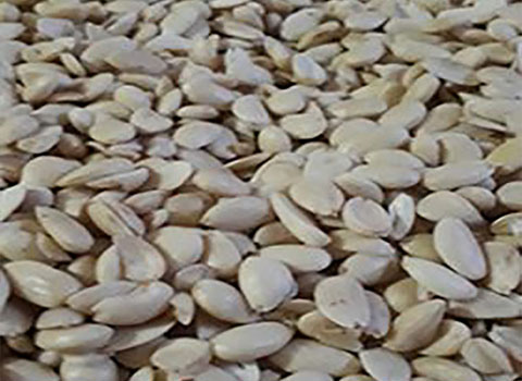 مغز شیرین شده بادام تلخ