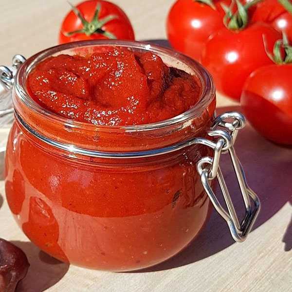 خرید عمده رب گوجه اصالت 800 گرمی