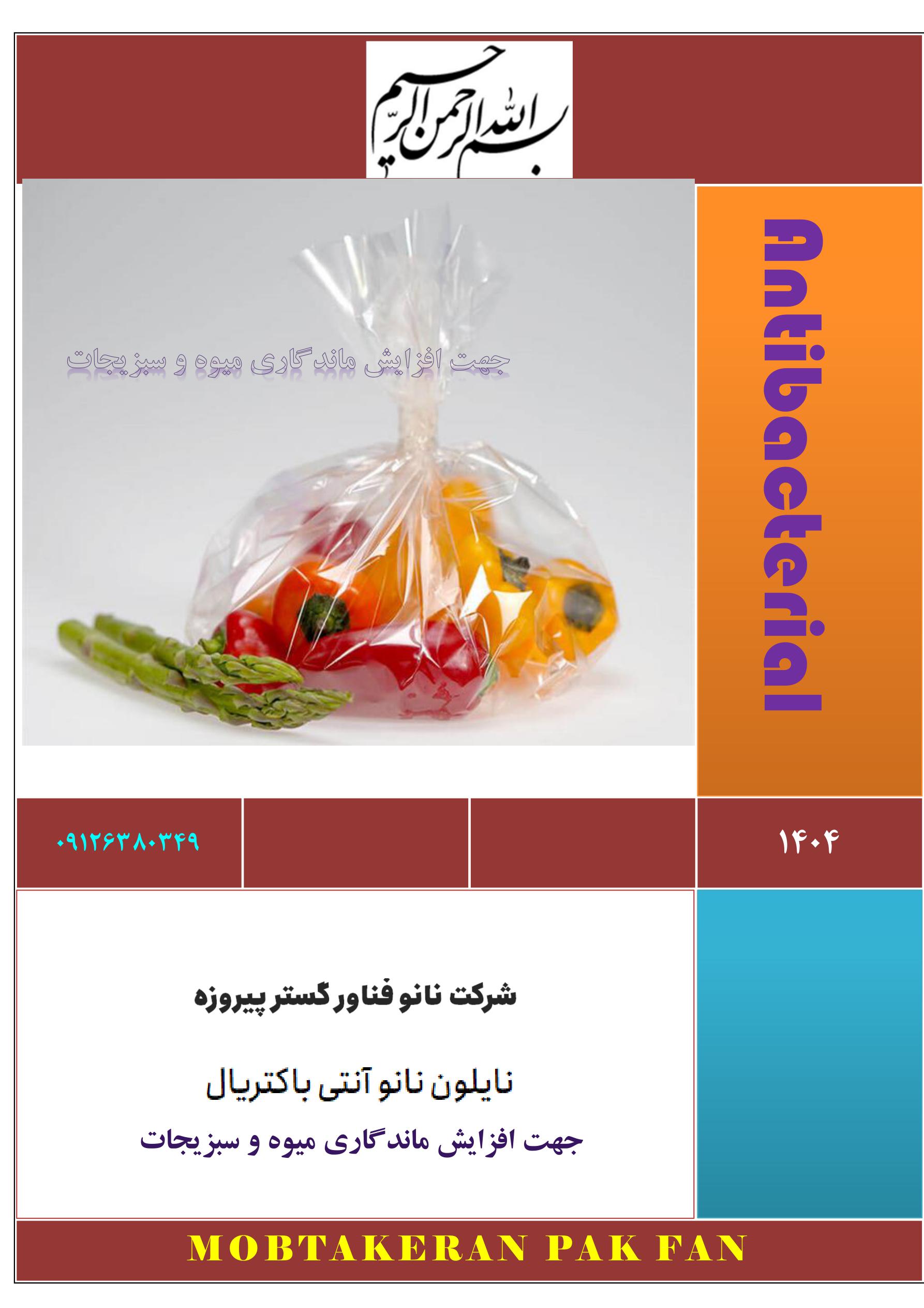 نایلون نانویی