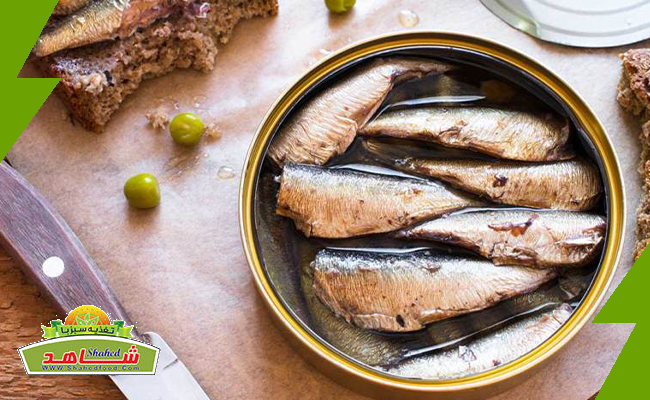 کنسرو ماهی کیلکا بسیار خوشمزه و ارزان قیمت