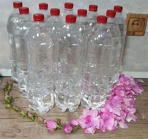 قیمت عمده گلاب معمولی