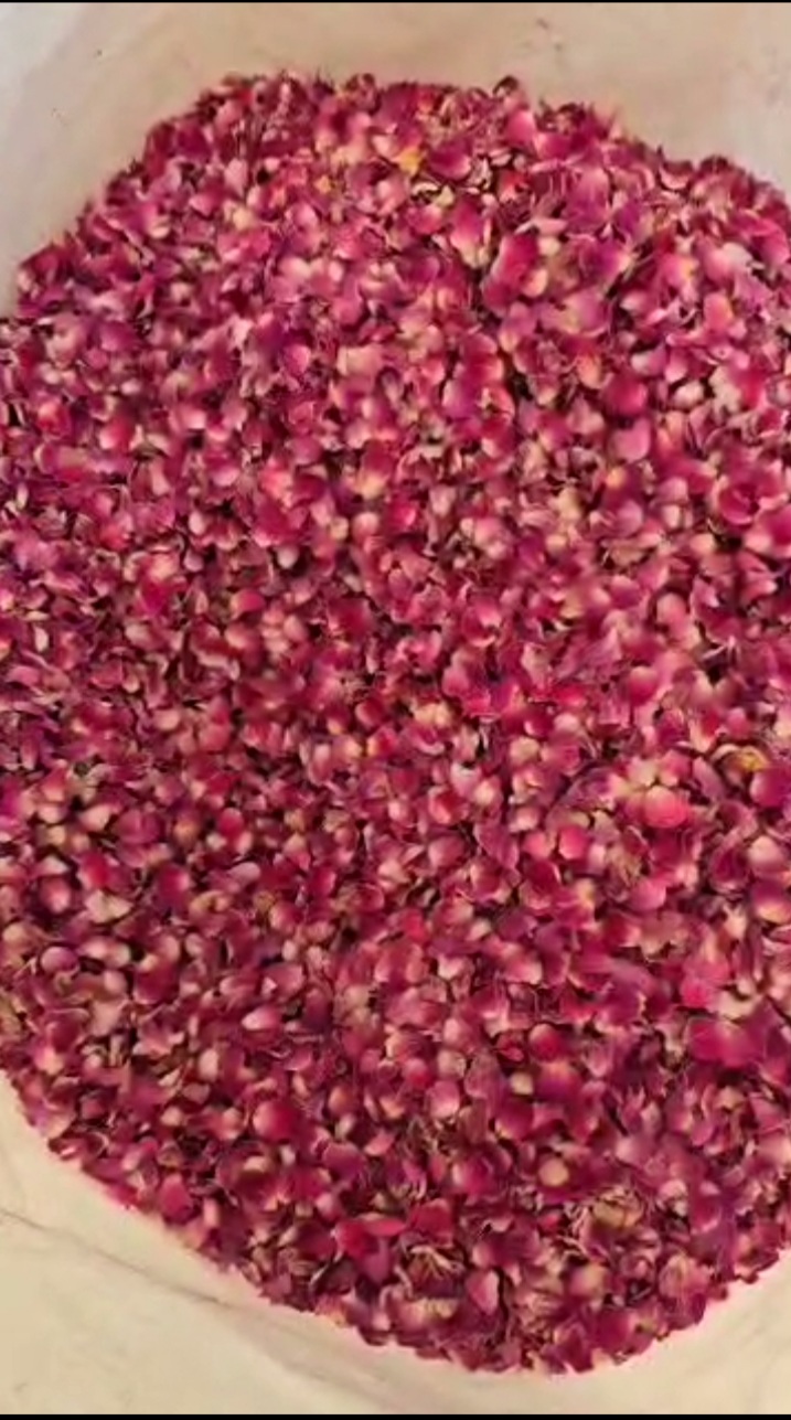 قیمت مناسب پر گل محمدی عمده فروشی