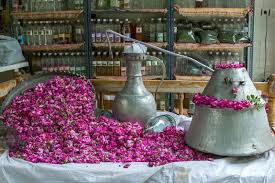 قیمت عمده گلاب دو آتیشه