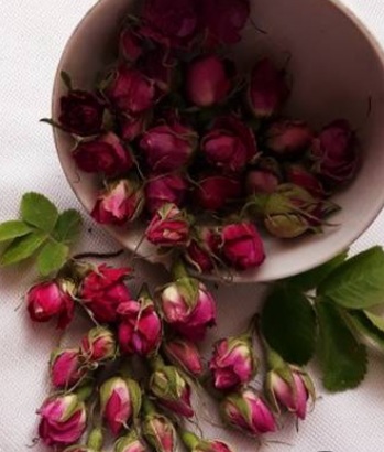 فروش غنچه گل محمدی + خرید به صرفه