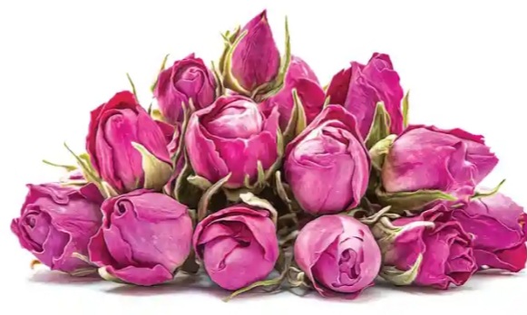 قیمت به صرفه گل محمدی کاشان + خواص آن