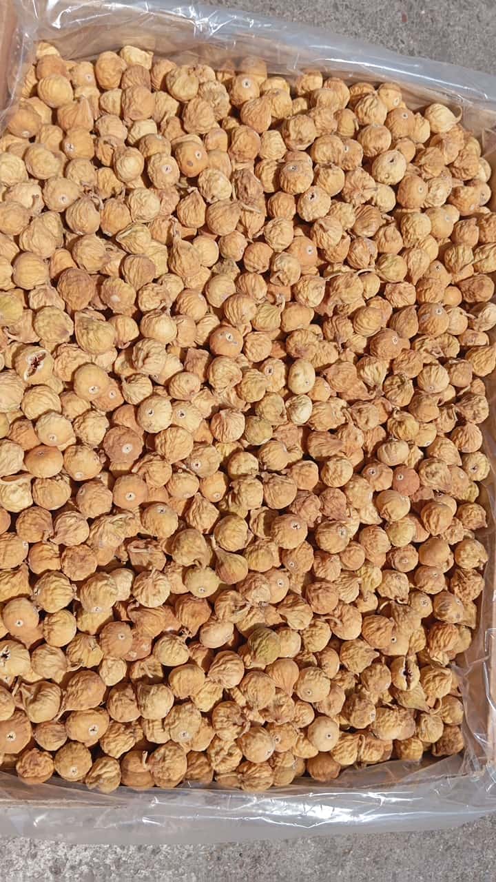 خریدار خارجی انجیر خشک