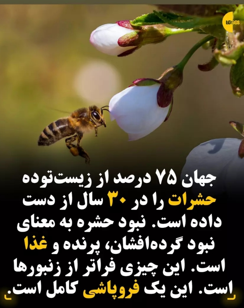 لارو کش پودری از بین برنده لارو و آفات پروانه ایی