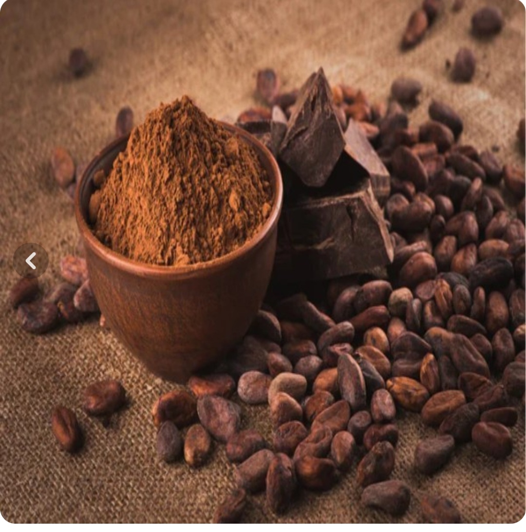 قیمت پودر کاکائو مرغوب + خرید عمده