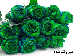 خرید و قیمت شاخه گل طبیعی رز هلندی سبز