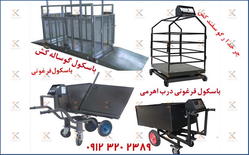 باسکول مخصوص دامداری‌ها با طراحی ضدلغزش