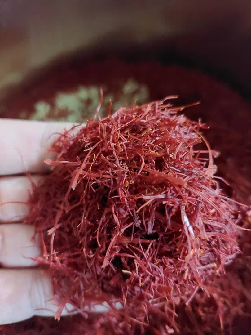 زعفران اورگانیک + فروش عمده