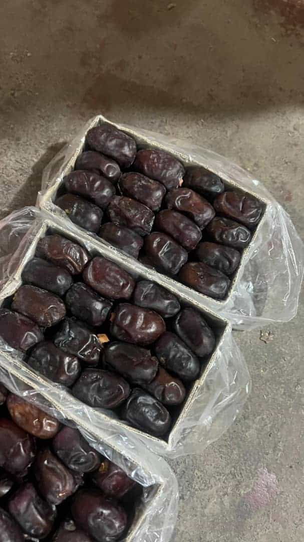 فروش خرما مضافی بم