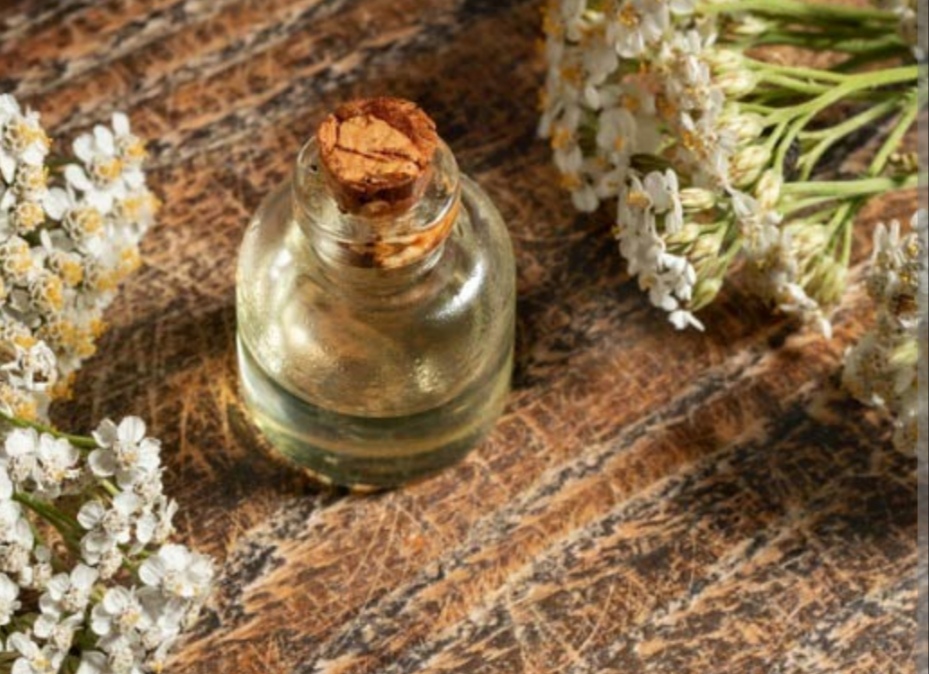 خرید و قیمت عرق بومادران برای درد پریود