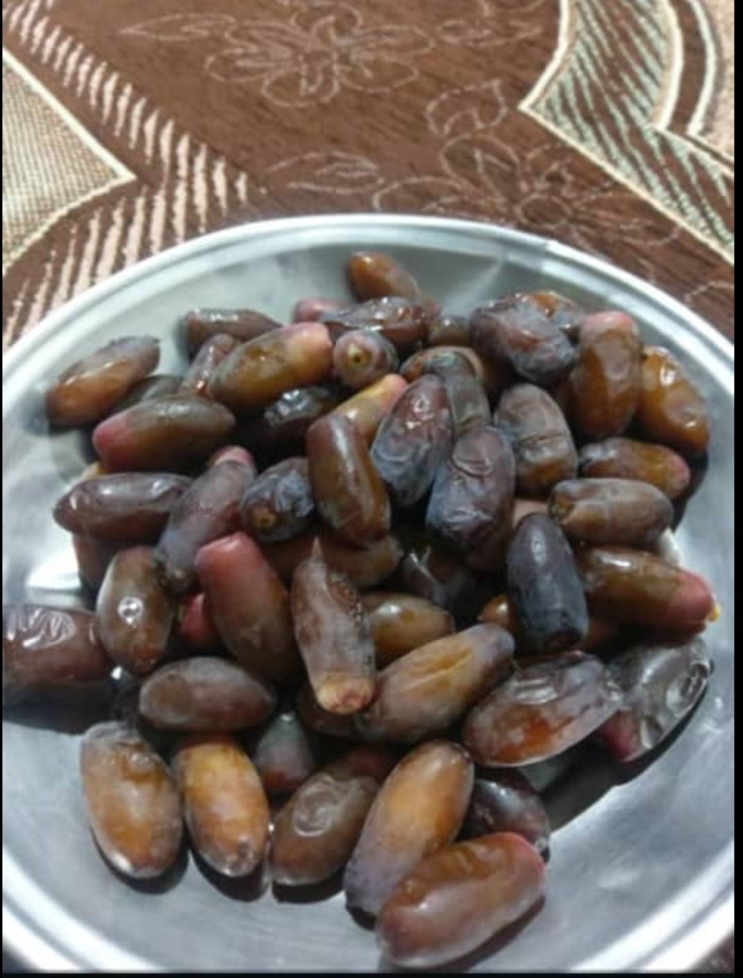 قیمت خرما ربی تازه بلوچستان