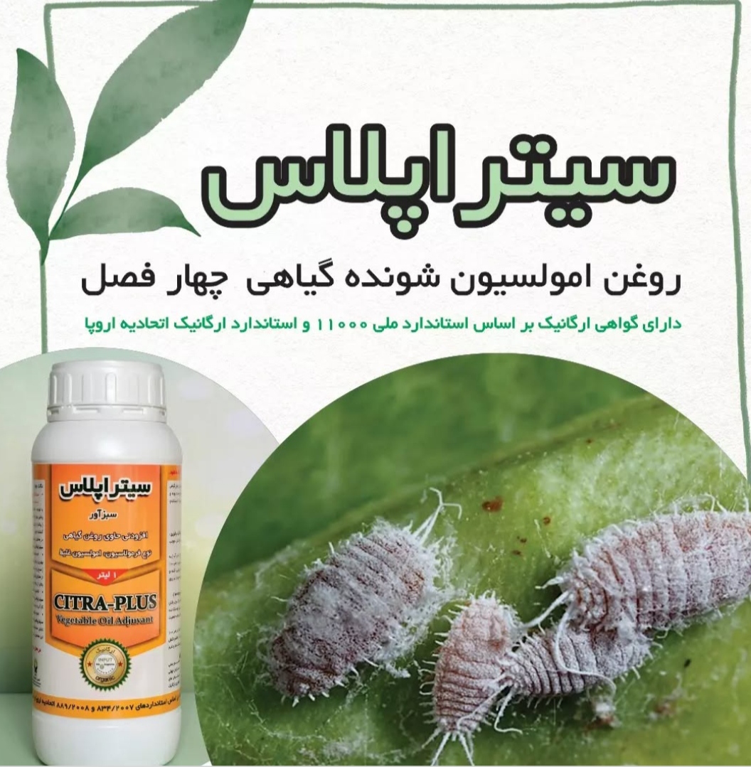 شوینده چهار فصل گیاهان