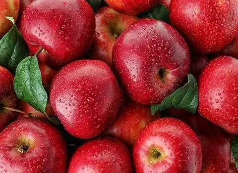 قیمت سیب قرمز در بازار ارومیه