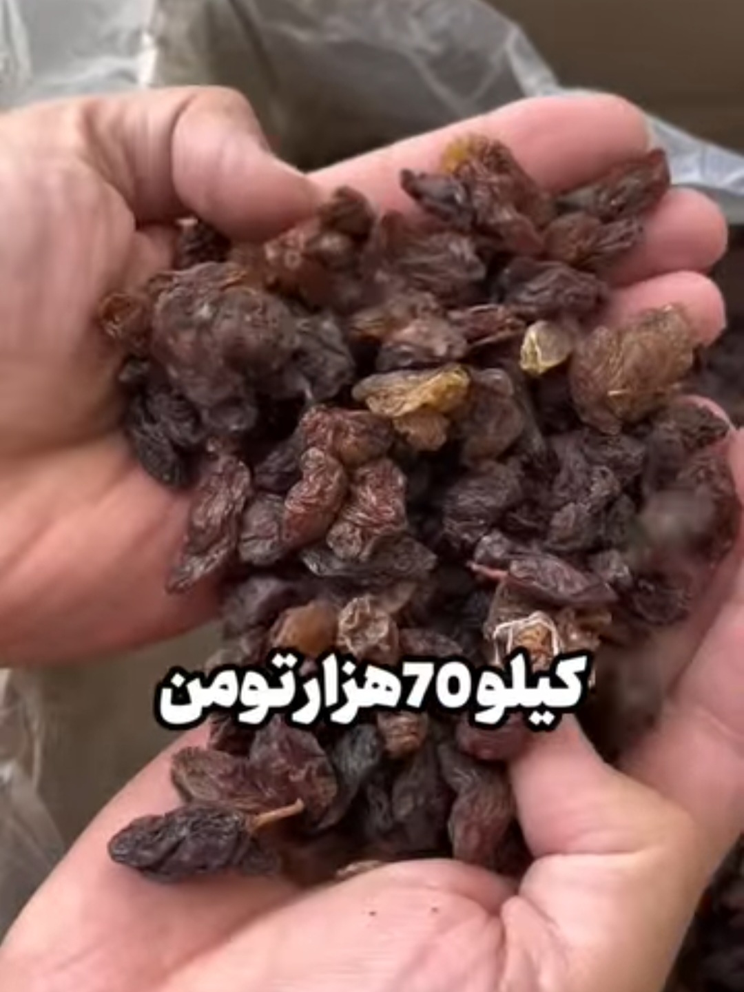فروش کشمش آبگیری کاشمر