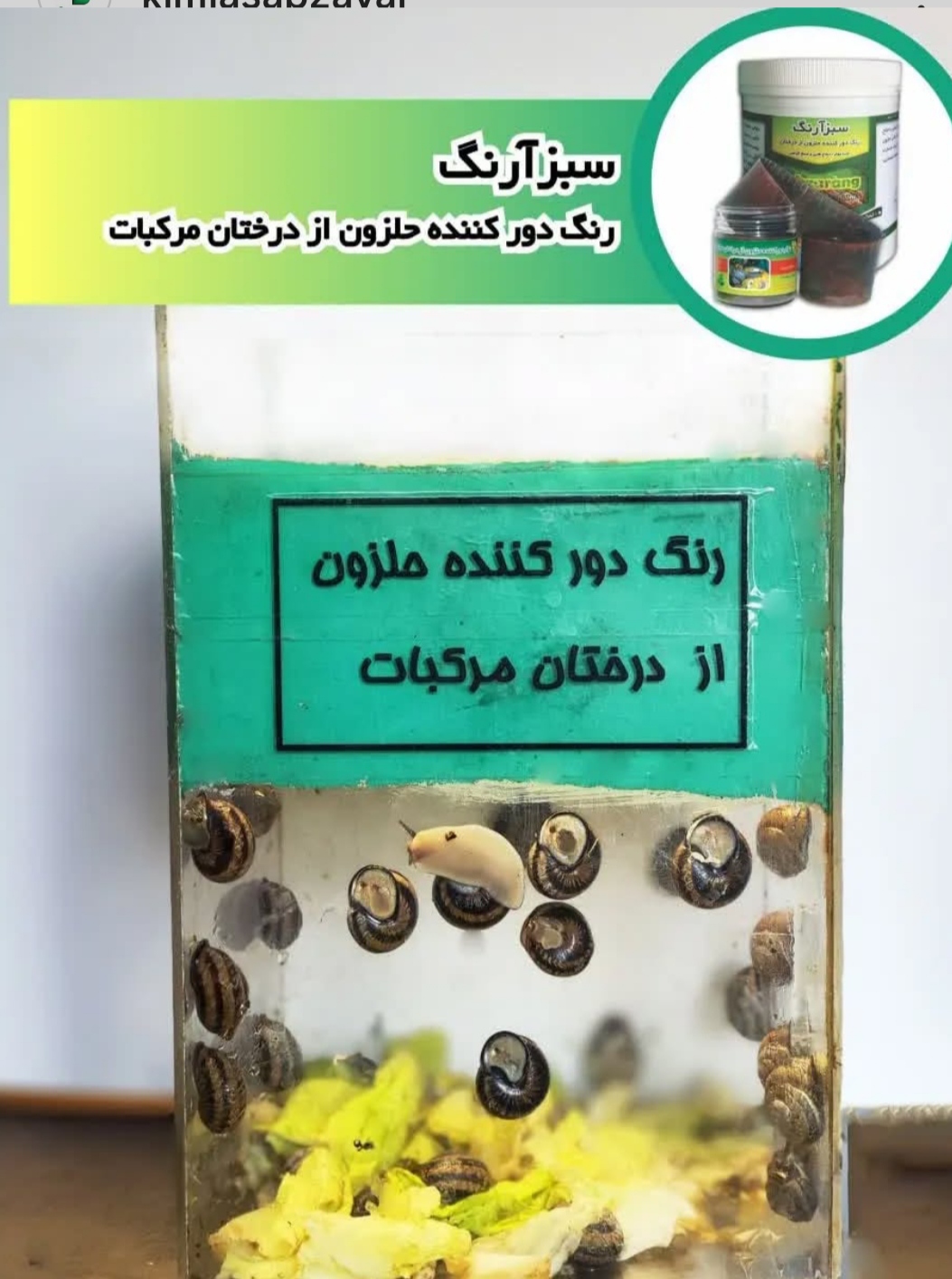 دور کننده حلزون  از درختان مرکب