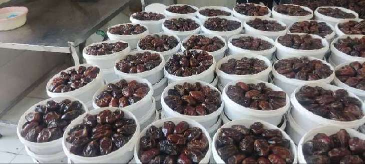 خریدخرما کبکاب صادراتی + قیمت باور نکردنی