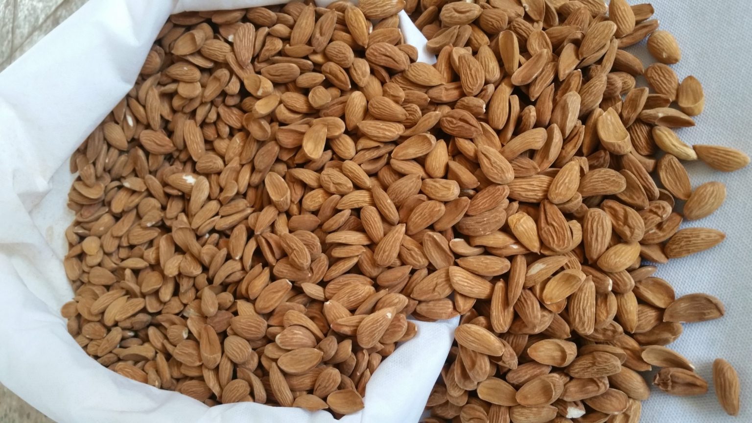 قیمت بادام مامایی صادراتی + فروش عمده