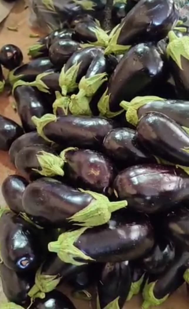 قیمت خرید و فروش بادمجان