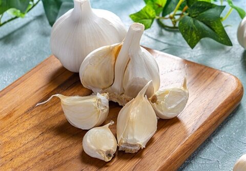 خرید سیر صادراتی + بازار فروش عمده