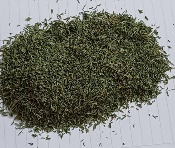 خرید آویشن باغی کازرون
