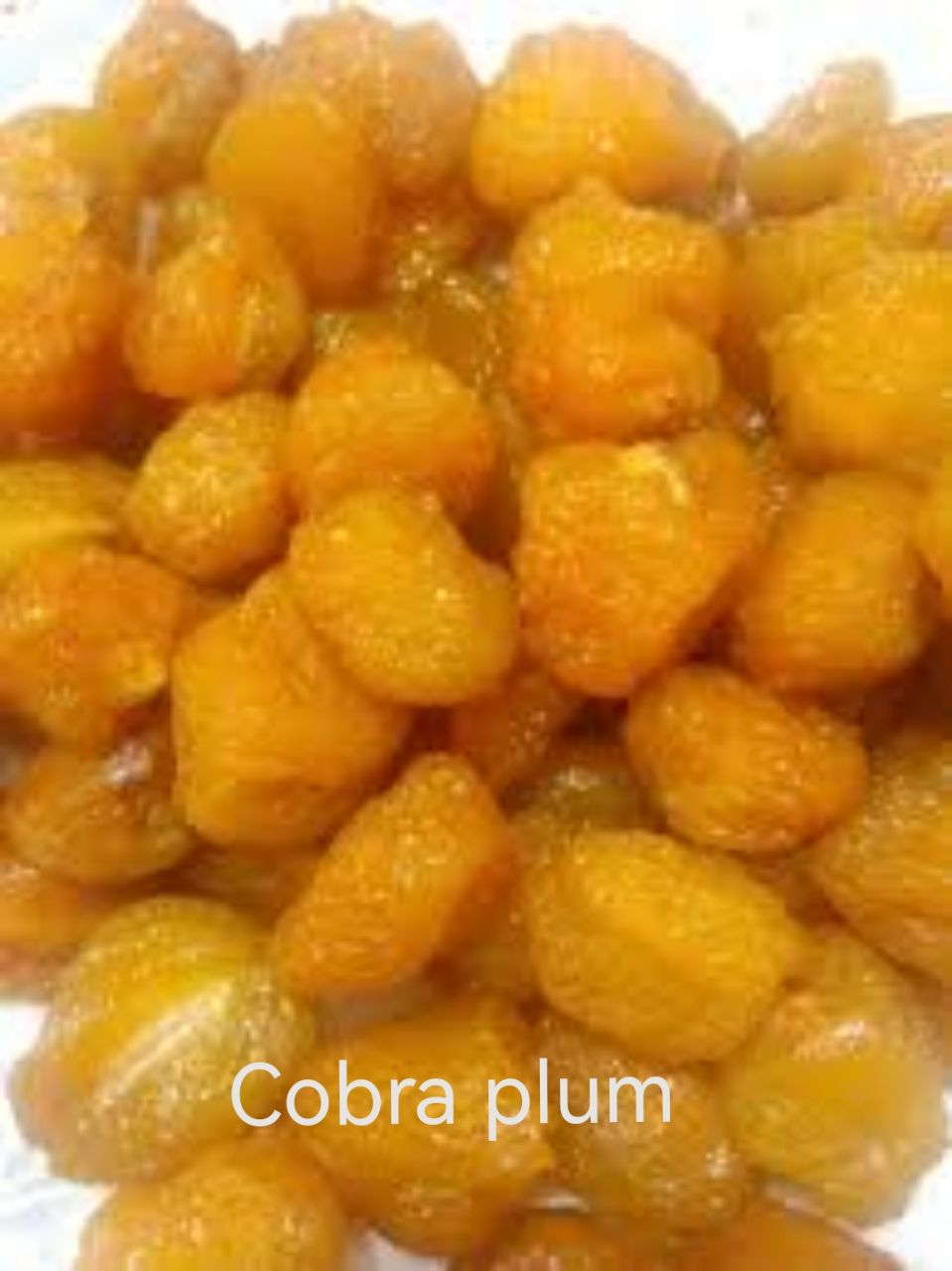 آلو خشک کبرایی