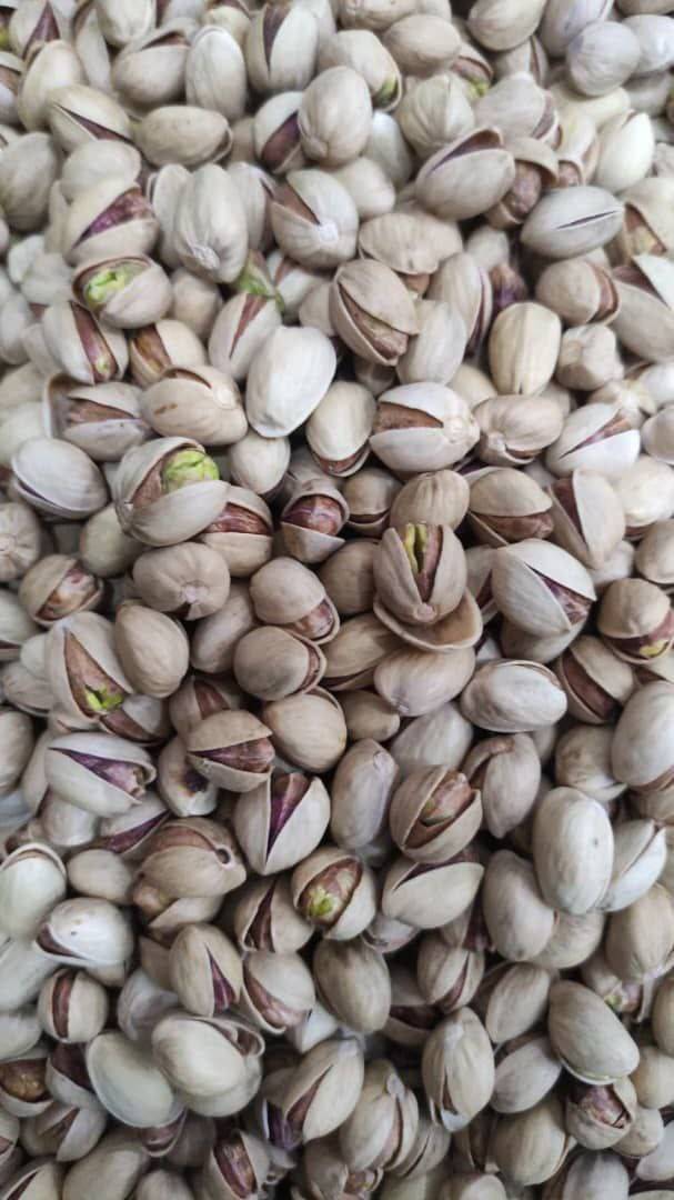 فروش ویژه پسته فندقی با کیفیت + ارسال به سراسر کشور