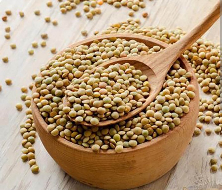 فروش عدس ریز سبز دشت مغان + قیمت مناسب و به صرفه