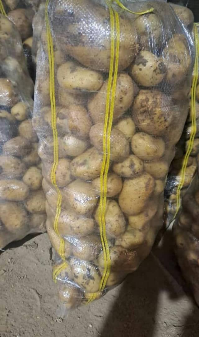 فروش سیب زمینی